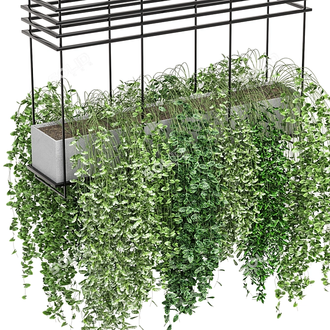  Modern Hanging Plant Set 460 3D model image 4