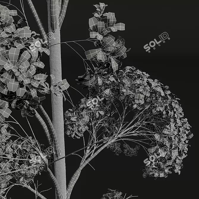 Trembling Aspen Tree Models 3D model image 5