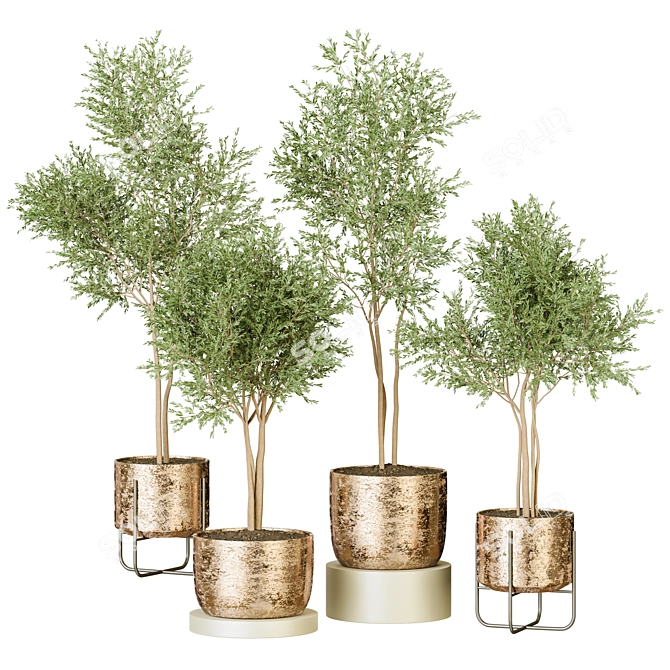 Modern Indoor Plant Collection 122 3D model image 1