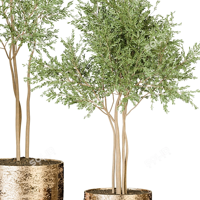 Modern Indoor Plant Collection 122 3D model image 3