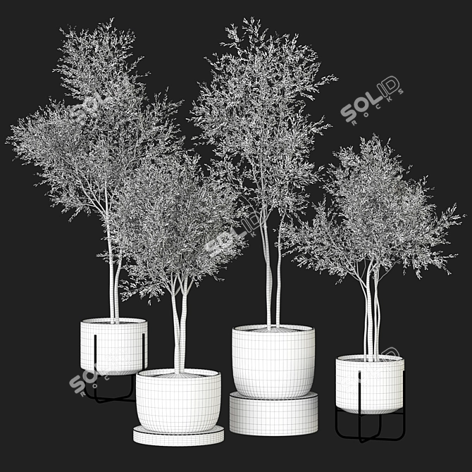 Modern Indoor Plant Collection 122 3D model image 4