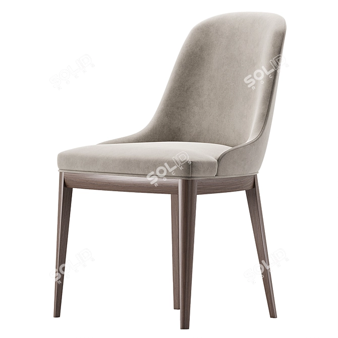 Modern Anna Chair 2017 Preview 3D model image 3