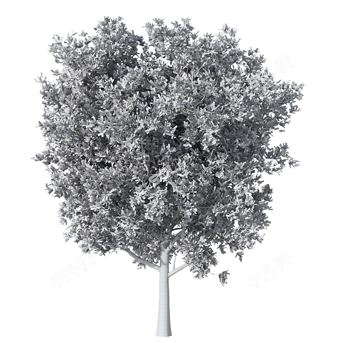 High Detail 3D Tree Model 3D model image 3