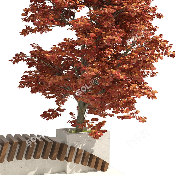 3D Model Bench Kousa Tree 3D model image 3