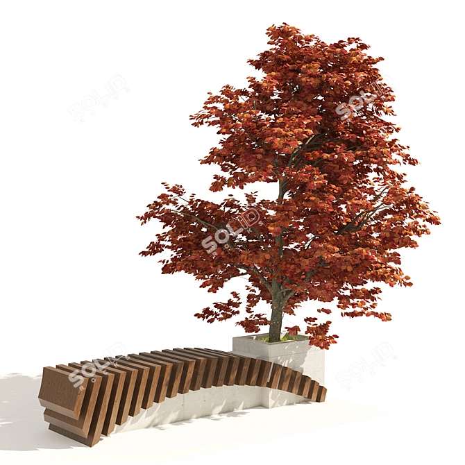 3D Model Bench Kousa Tree 3D model image 4