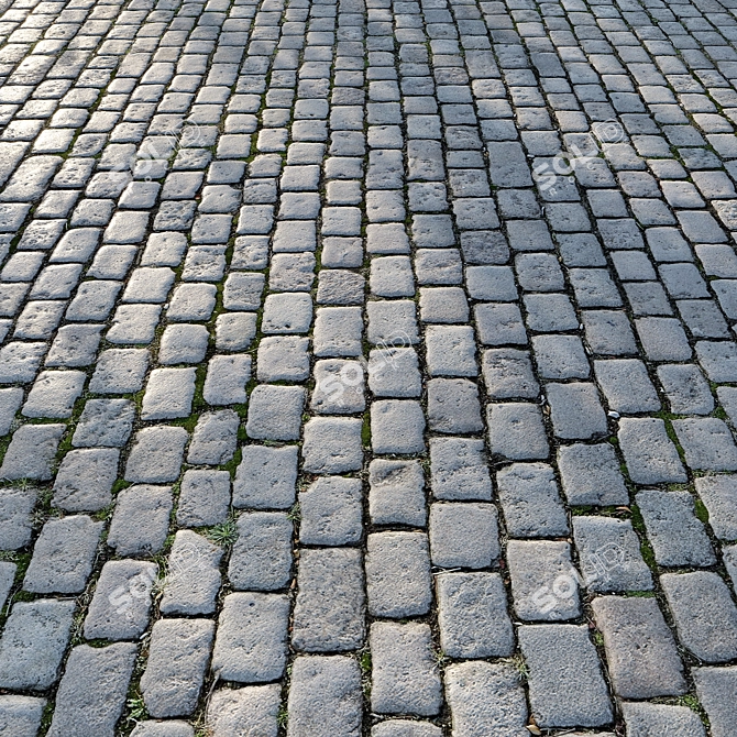 3D Pavement Tile Model Set 3D model image 2