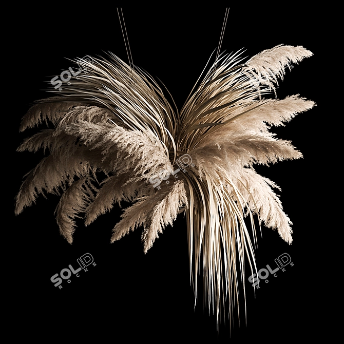 White Pampas Grass Hanging Bouquet 3D model image 2