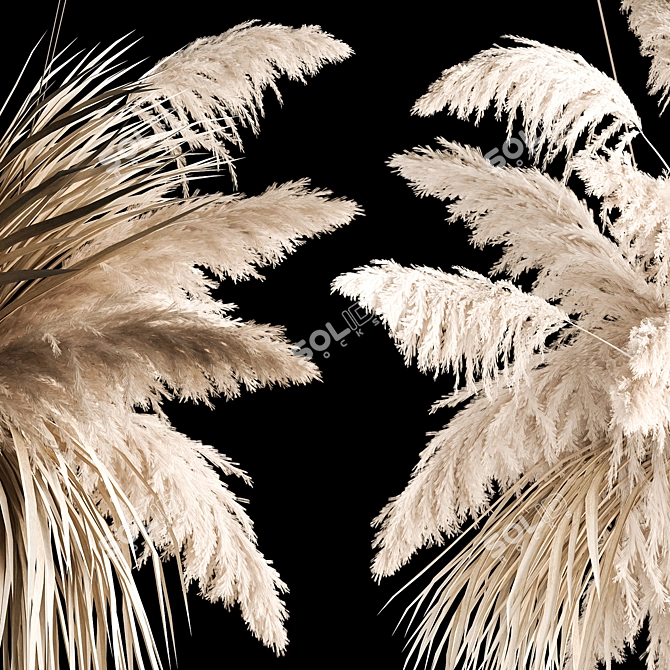 White Pampas Grass Hanging Bouquet 3D model image 5