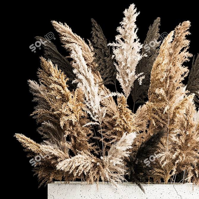 Pampas Grass Concrete Vase Bouquet 3D model image 2