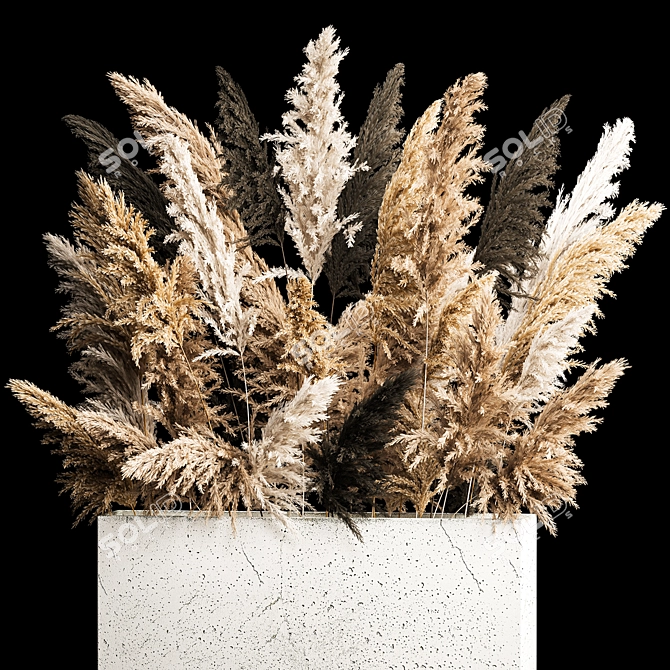 Pampas Grass Concrete Vase Bouquet 3D model image 3