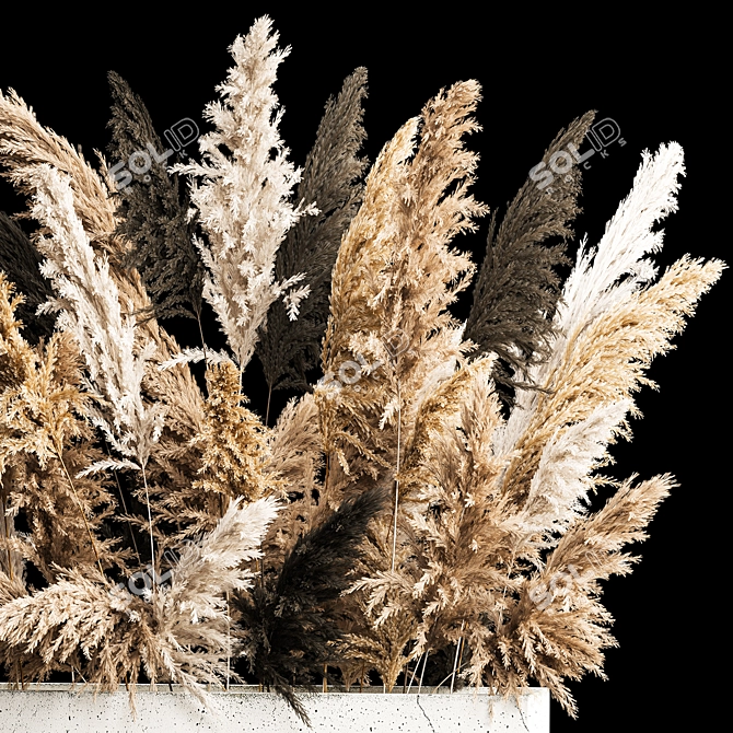 Pampas Grass Concrete Vase Bouquet 3D model image 4