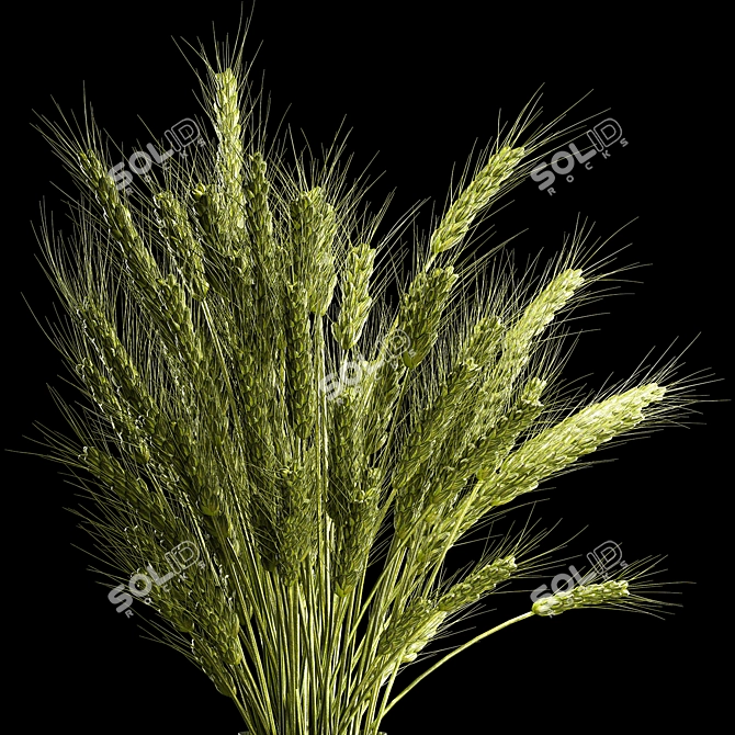  Green Wheat Spikelet Vase 3D model image 2