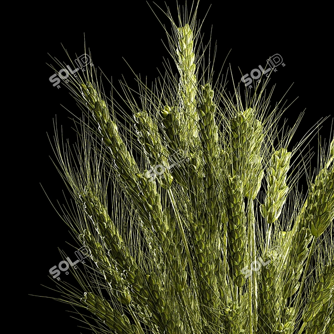  Green Wheat Spikelet Vase 3D model image 4