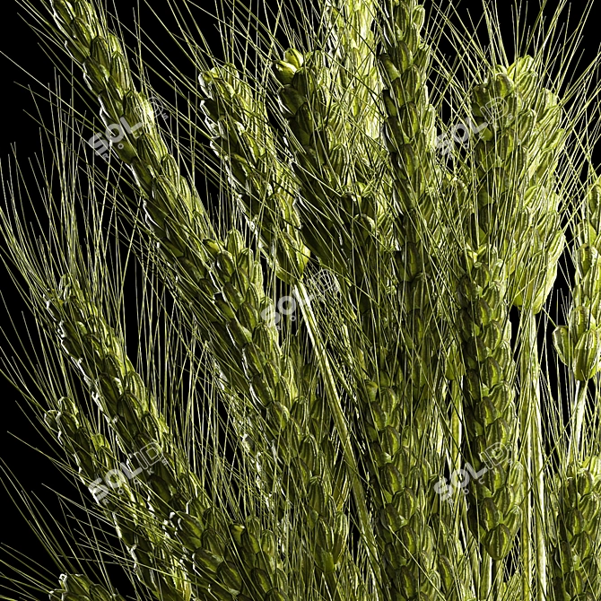  Green Wheat Spikelet Vase 3D model image 5