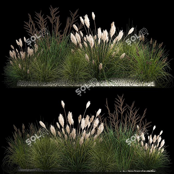 Assorted Ornamental Grass Collection 3D model image 1