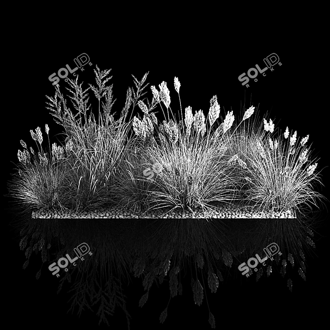 Assorted Ornamental Grass Collection 3D model image 6