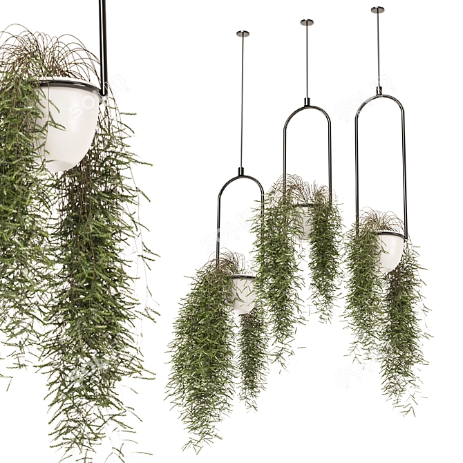 Metal Box Set Indoor Plants 3D model image 1