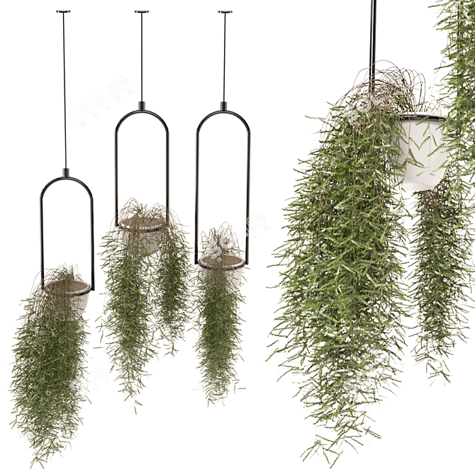 Metal Box Set Indoor Plants 3D model image 2