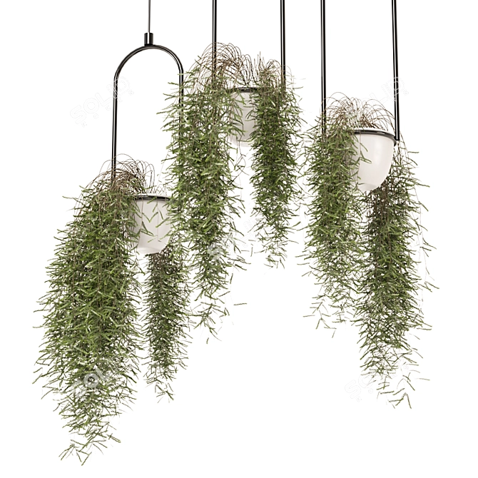 Metal Box Set Indoor Plants 3D model image 3
