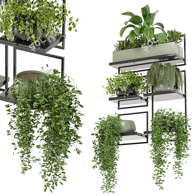 Metal Box Set 464 Plants 3D model image 1