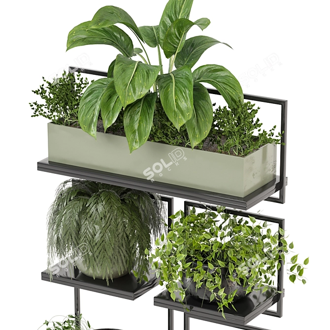 Metal Box Set 464 Plants 3D model image 2