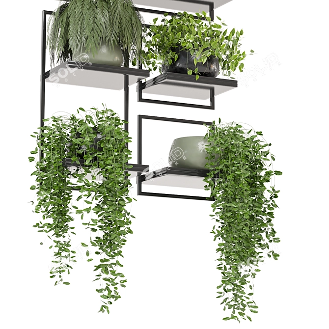 Metal Box Set 464 Plants 3D model image 3