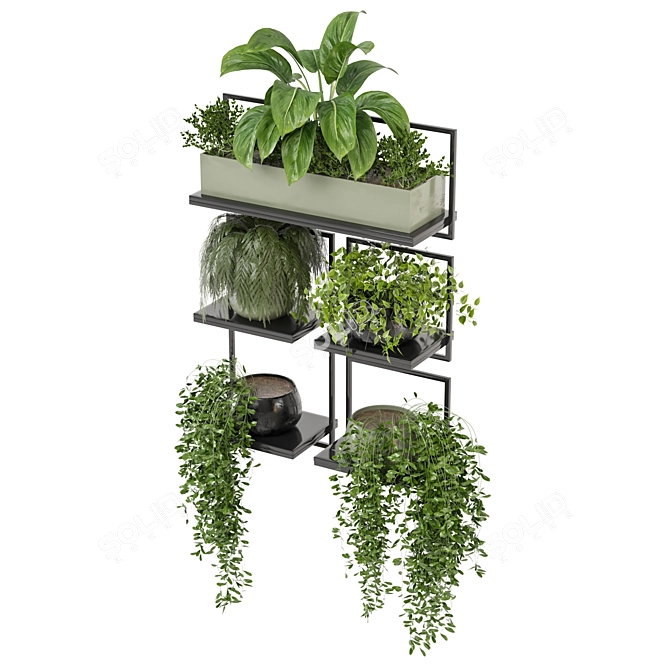 Metal Box Set 464 Plants 3D model image 4