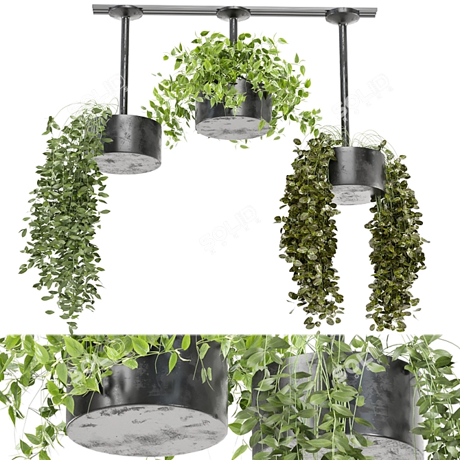  Metal Box Hanging Plants Set 3D model image 1