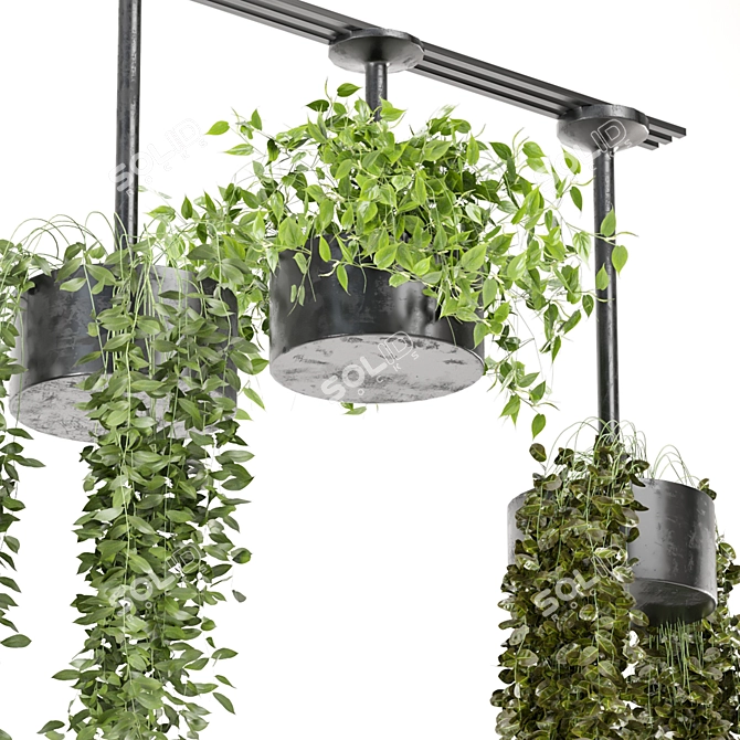  Metal Box Hanging Plants Set 3D model image 2
