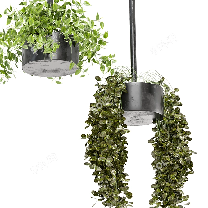  Metal Box Hanging Plants Set 3D model image 3