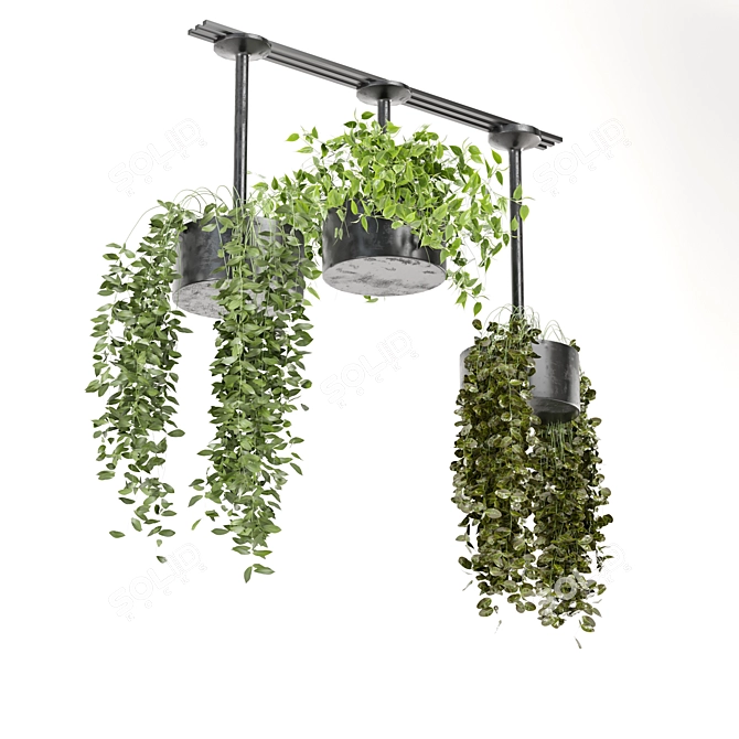  Metal Box Hanging Plants Set 3D model image 4