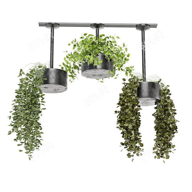  Metal Box Hanging Plants Set 3D model image 5