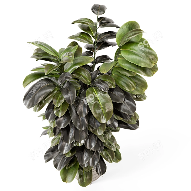 Modern Indoor Plants in Concrete 3D model image 2