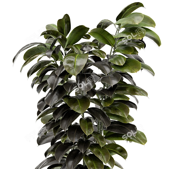 Modern Indoor Plants in Concrete 3D model image 3