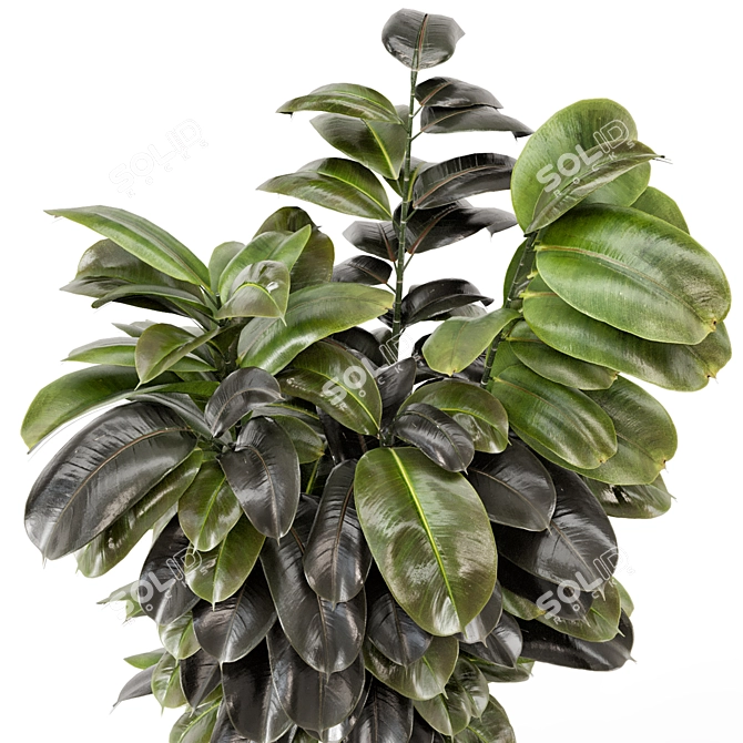 Modern Indoor Plants in Concrete 3D model image 4