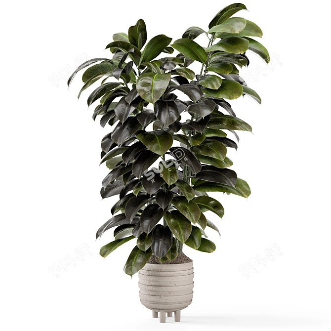 Modern Indoor Plants in Concrete 3D model image 6