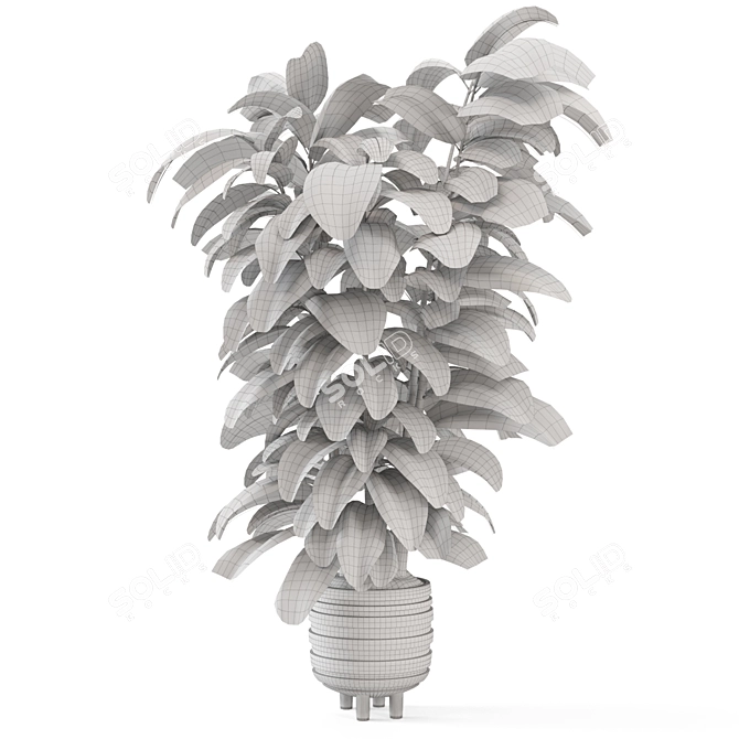 Modern Indoor Plants in Concrete 3D model image 7