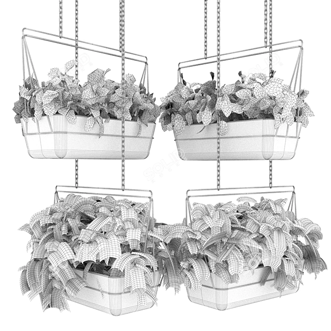 Premium Pothos Hanging Plant 3D model image 6