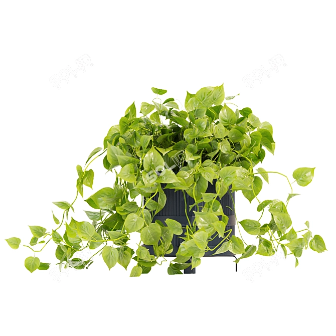 Quality Hanging Pothos Plant Décor 3D model image 4