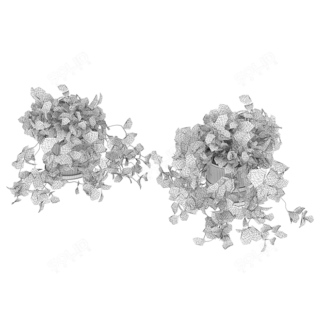 Quality Hanging Pothos Plant Décor 3D model image 6