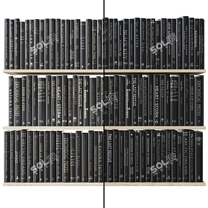 Gilded and Silvered Black Books 3D model image 2