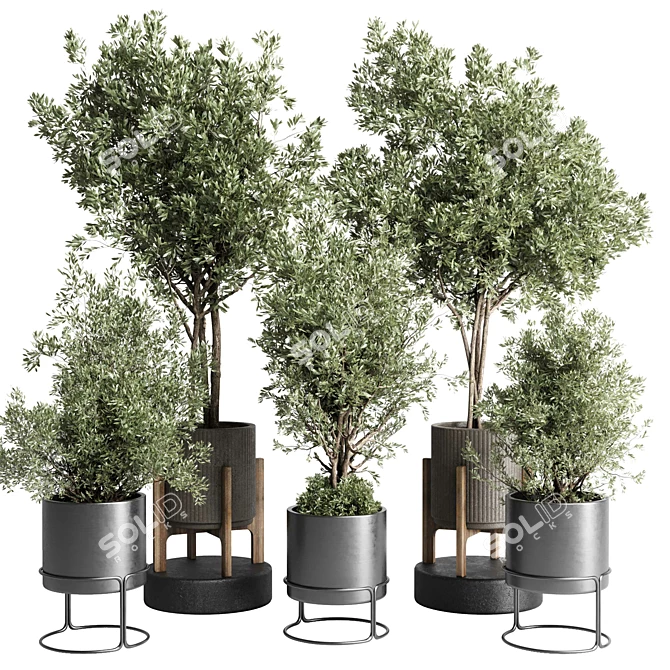 269 Plant Tree Vase Concrete 3D model image 1