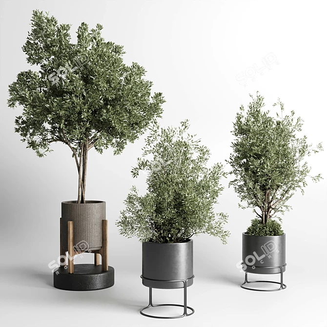 269 Plant Tree Vase Concrete 3D model image 2