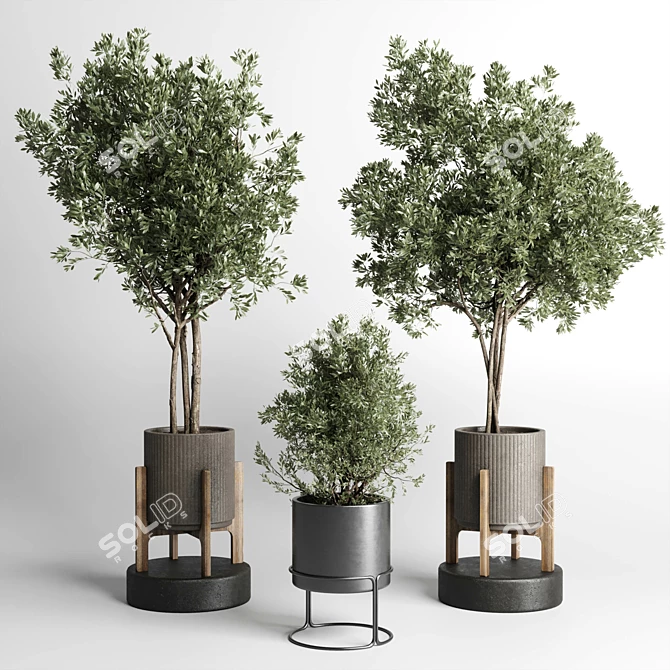 269 Plant Tree Vase Concrete 3D model image 3