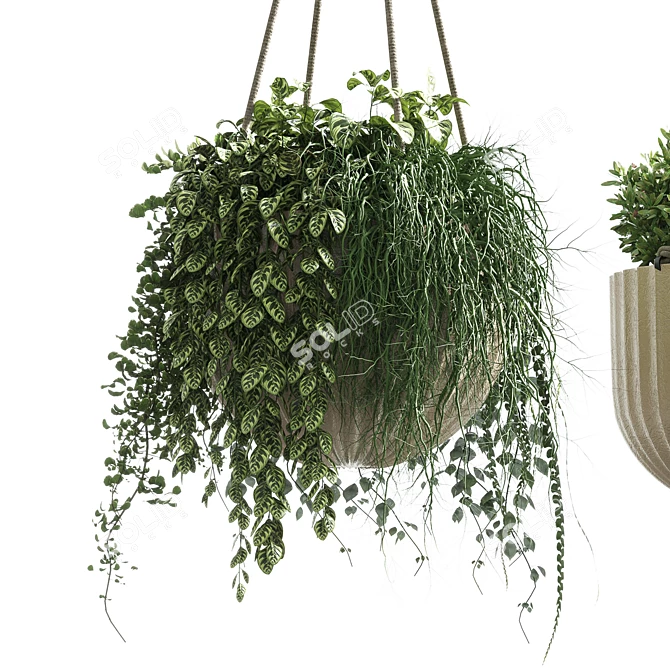 Modern Indoor Hanging Plant with Flower Pots 3D model image 2