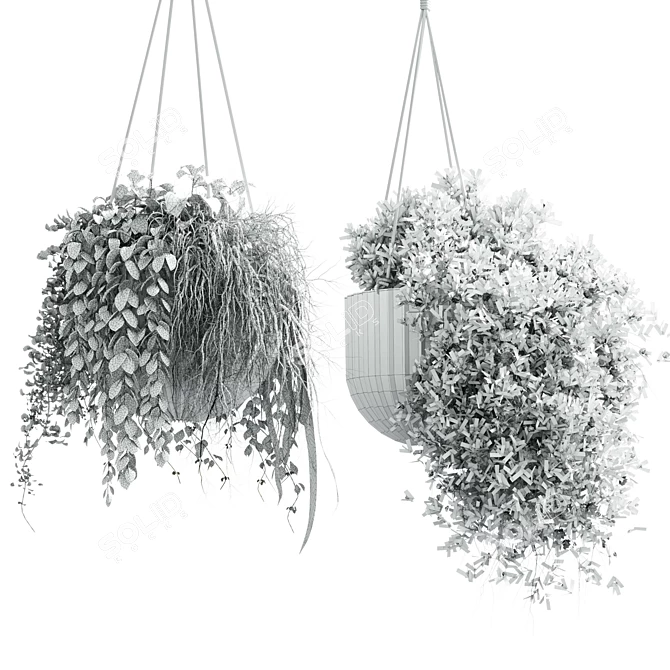 Modern Indoor Hanging Plant with Flower Pots 3D model image 4