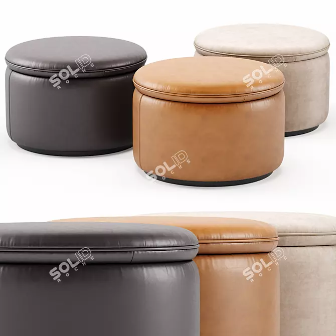 Modern DS 800 DeSede Pouf 3D model image 1