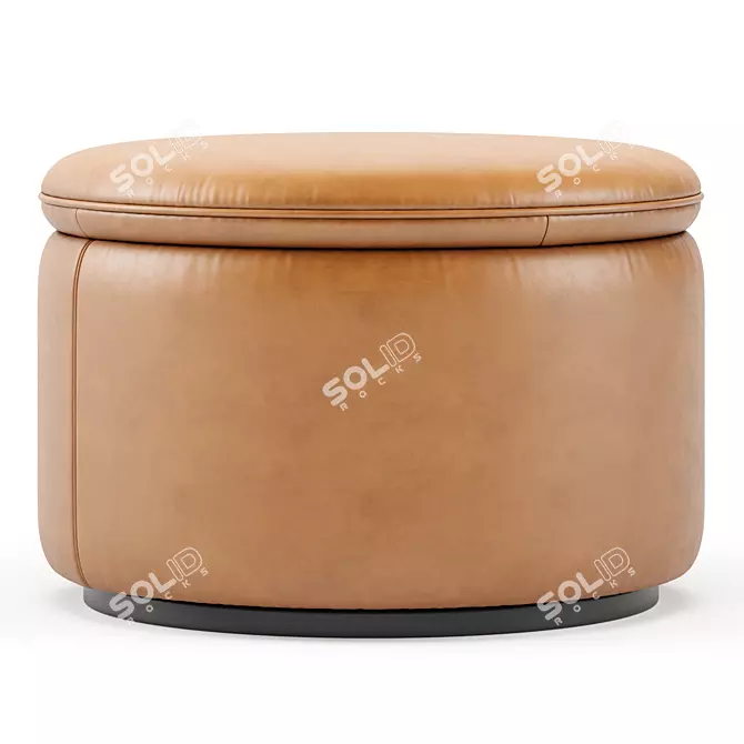 Modern DS 800 DeSede Pouf 3D model image 3