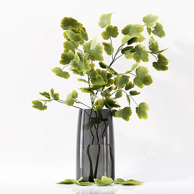 Modern Indoor Plant Collection 029 3D model image 3