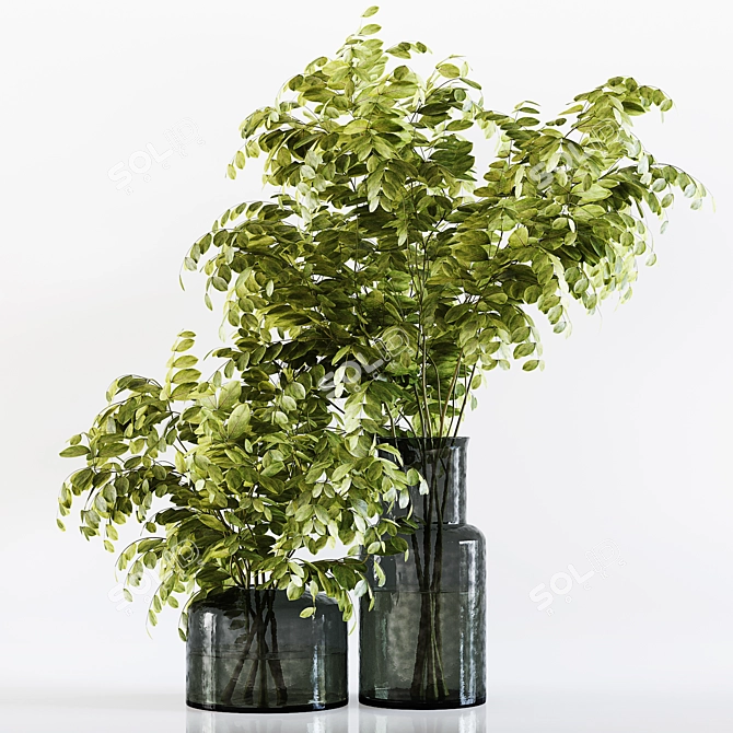 Modern Indoor Plant Collection 029 3D model image 5